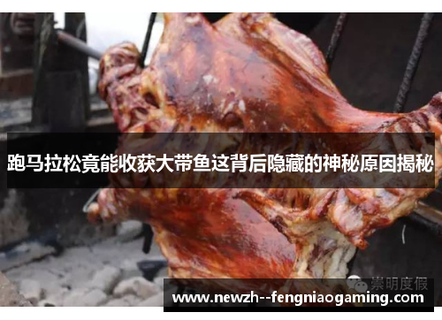 跑马拉松竟能收获大带鱼这背后隐藏的神秘原因揭秘