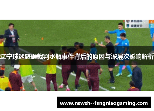 辽宁球迷怒砸裁判水瓶事件背后的原因与深层次影响解析