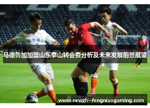 马德鲁加加盟山东泰山转会费分析及未来发展前景展望